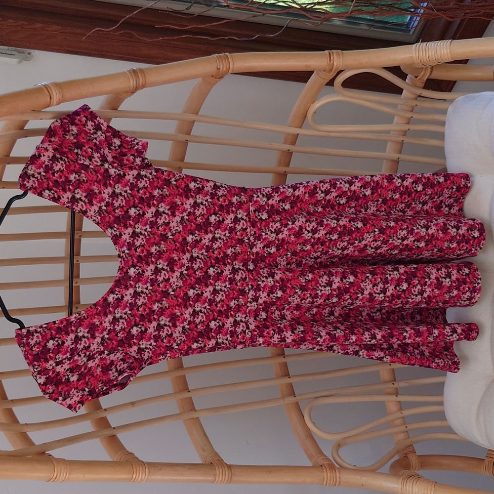 Red and Pink Floral Skater Dress